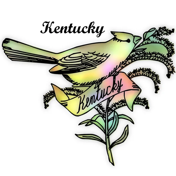 Pták státu Kentucky — Stock fotografie