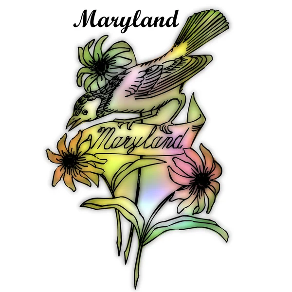 Maryland állam madár — Stock Fotó