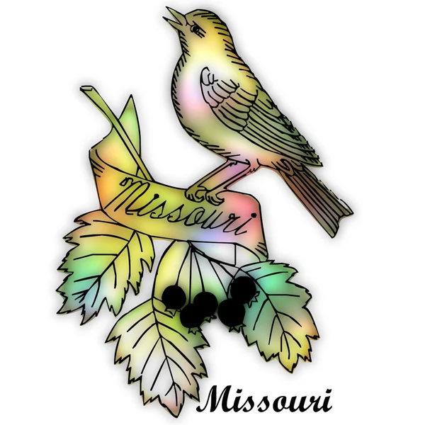 Missouri-Staatsvogel — Stockfoto