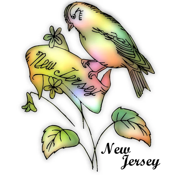 État du New Jersey Oiseau — Photo