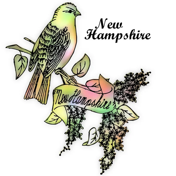 Ptak stanu New hampshire — Zdjęcie stockowe