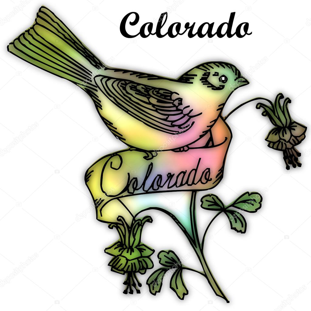 Colorado State bird