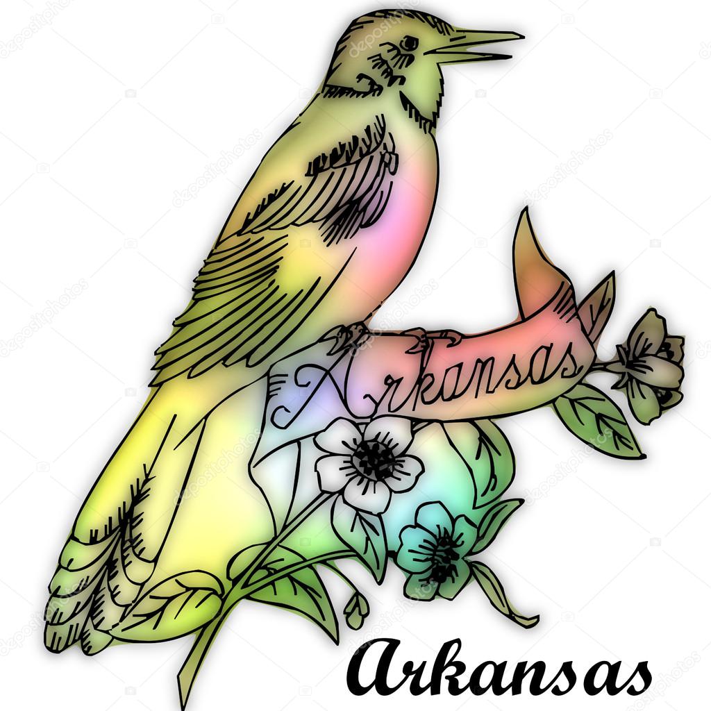 Arkansas State bird