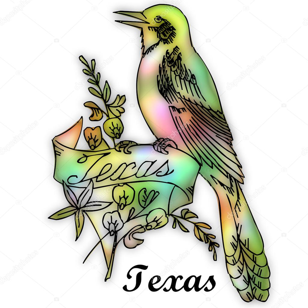 texas state bird stock photo 51257671