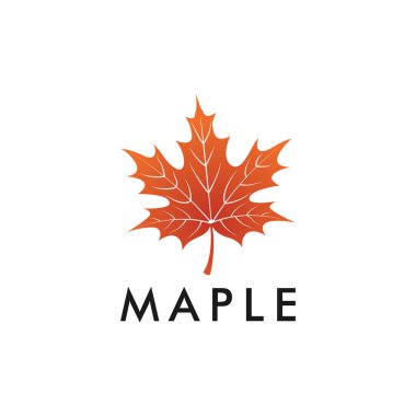 Maple Leaf Logo Tasarım Şablonu