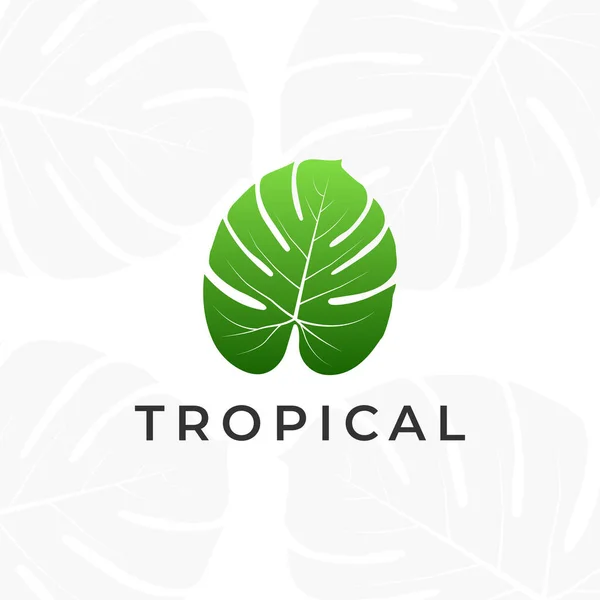 Trópusi Növény Logót Hagy Maga Után Monstera Elhagyja Logo Design — Stock Vector