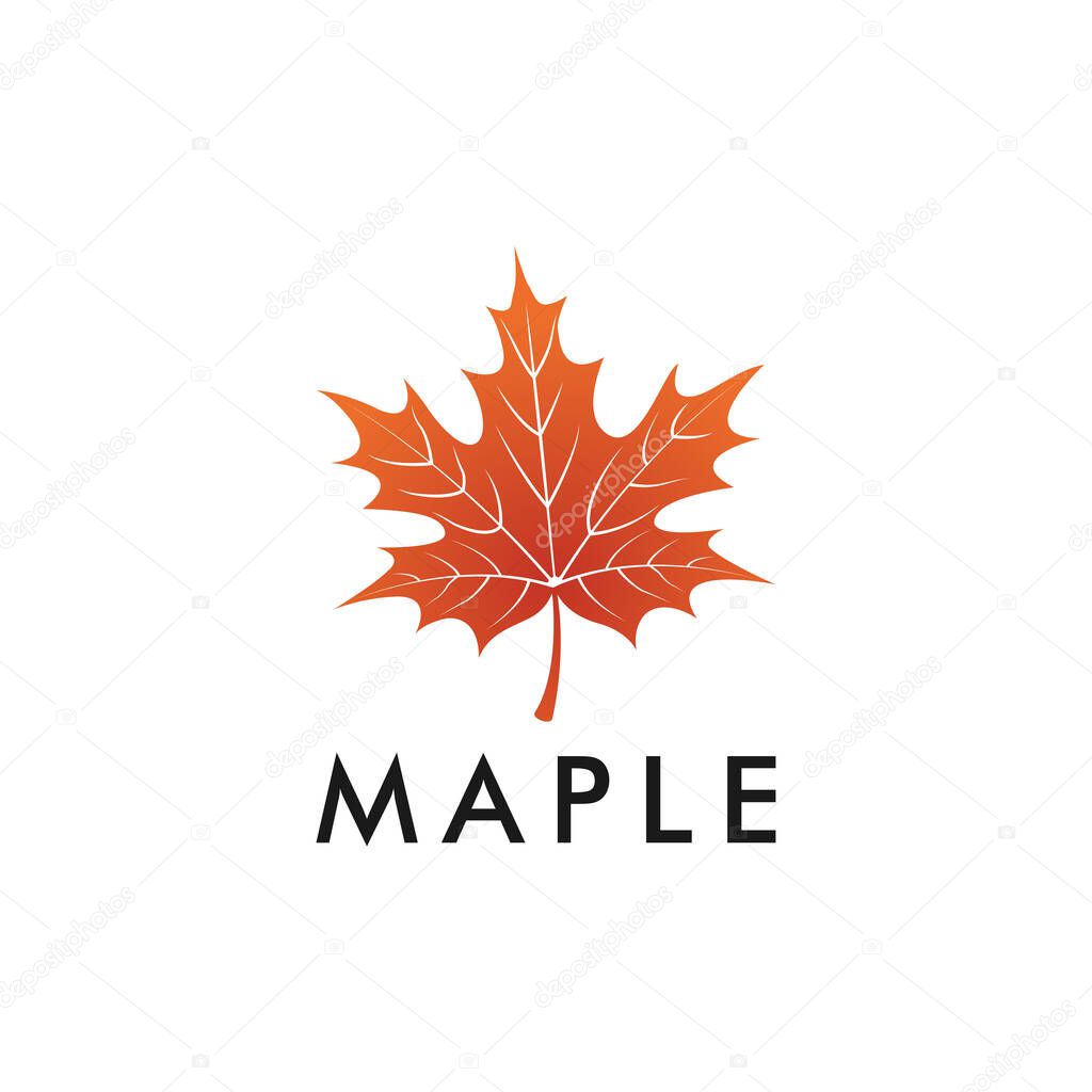 Maple Leaf Logo Design Template