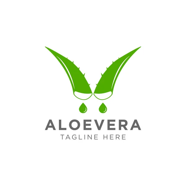 Projekt Logo Rośliny Aloe Vera Ziołowa Roślina Konstrukcja Wektora Jesiennego — Wektor stockowy