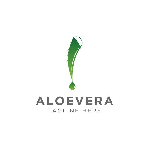 Návrh Loga Rostliny Aloe Vera Bylinné Rostliny Vektor Pádu Design — Stockový vektor