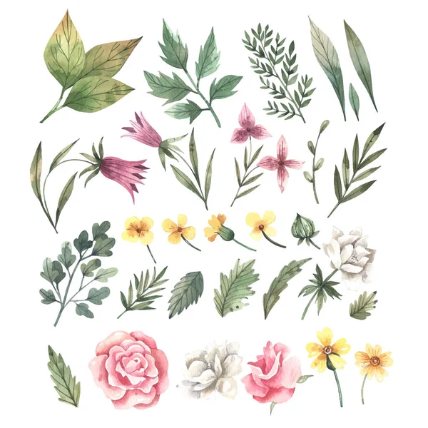 水彩画一套漂亮的花和叶子 — 图库矢量图片