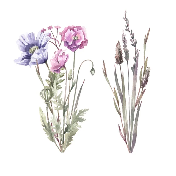 Akvarell Handritad Illustration Vackra Blommor — Stock vektor