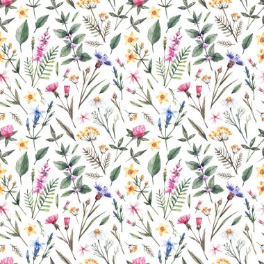Botanical seamless pattern with watercolor wild flowers. Watercolor background with daisies, mint, bells, lungwort and other wildflowers. Beautiful background for invitations, fabrics, wallpapers, paper and other purposes.