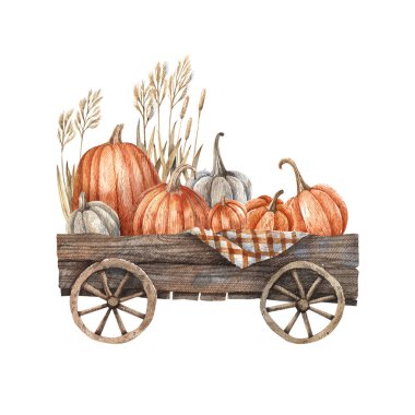 Wooden cart with pumpkins and autumn herbs painted in watercolor. Autumn illustration, harvest, farming, October.