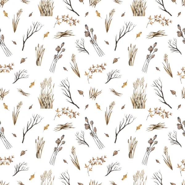 Watercolor Seamless Pattern Dry Autumn Herbs Branches Light Vintage Floral — Stok fotoğraf