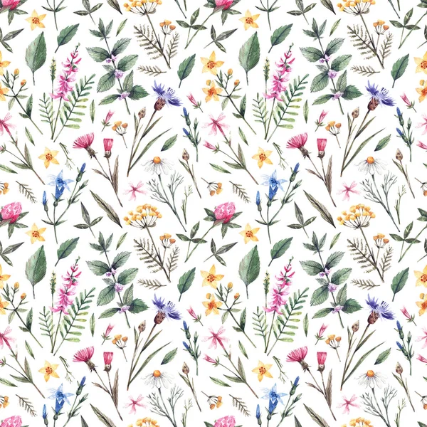 Botanical Seamless Pattern Watercolor Wild Flowers Watercolor Background Daisies Mint — Zdjęcie stockowe