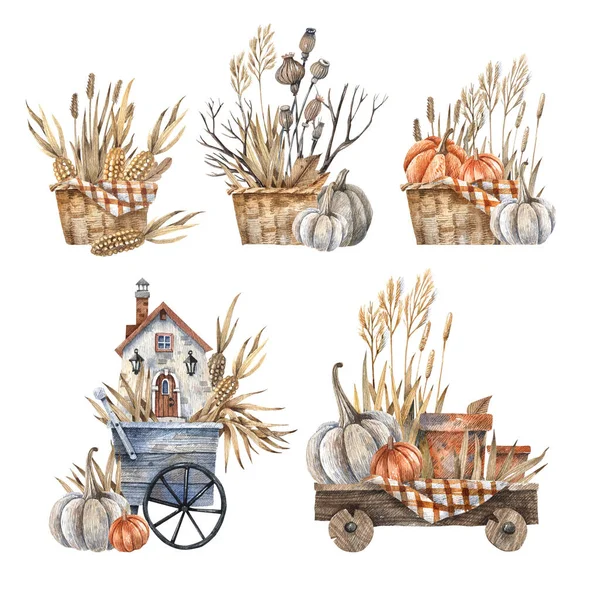 Set Garden Decor Wicker Baskets Herbs Pumpkins Rural House Wooden — Zdjęcie stockowe