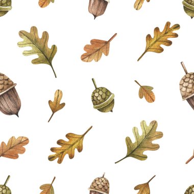 Oak leaves and acorns on white background watercolor seamless pattern. Autumn; minimalistic background. Texture for fabrics; wallpaper; wrapping paper.