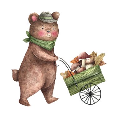 Bear with a cart of mushrooms watercolor cartoon illustration. A cute bear in a hat collects autumn leaves and mushrooms. Emergency illustration isolated on white background.