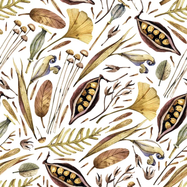 Dry Flowers Autumn Leaves Seeds Meadow Herbs Seamless Watercolor Pattern — Stock Fotó