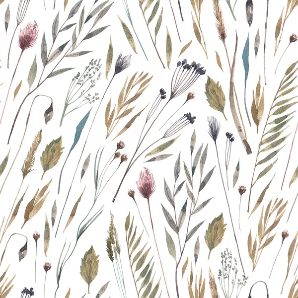 Seamless Watercolor Pattern Dry Meadow Plants Hand Drawn Herbarium Style — Foto Stock