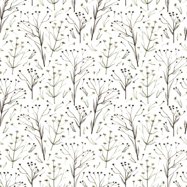 Autumn dry herbs seamless pattern. Delicate, thin forest herbs on a white background. Watercolor illustration. Texture for fabrics, textiles, wallpaper, paper.