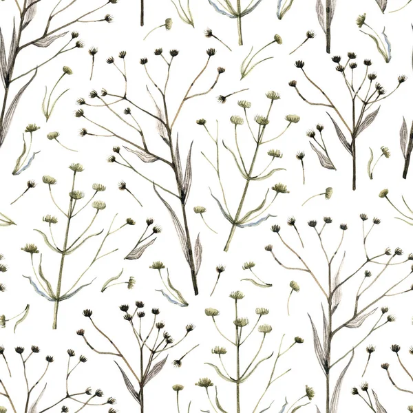 Watercolor dry herbs seamless pattern. Delicate, thin forest herbs on a white background. Watercolor illustration. Texture for fabrics, textiles, wallpaper, paper.