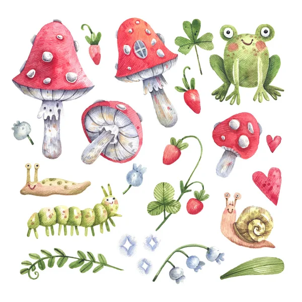 Set Watercolor Forest Illustrations Fly Agaric Wild Strawberries Forest Plants — Fotografia de Stock