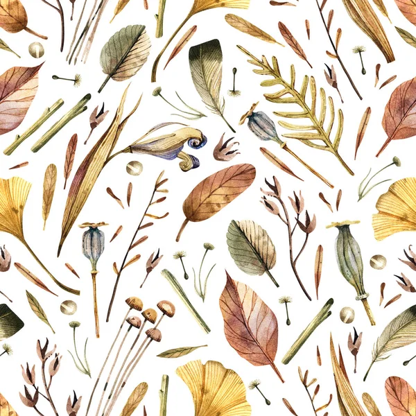 Autumn leaves, dry herbs and flowers, bird feathers seamless natural pattern in vintage style. Vintage background with natural elements for fabrics, textiles, wallpapers, etc.