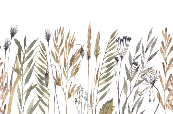 Dry Meadow Herbs Leaves Horizontal Seamless Border Wild Plants Watercolor — Foto Stock