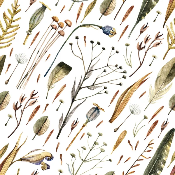 Dry field herbs, branches, feathers seamless watercolor pattern in vintage style. Natural background in herbarium style. Texture for fabrics, textiles, wallpapers, scrapbooking.