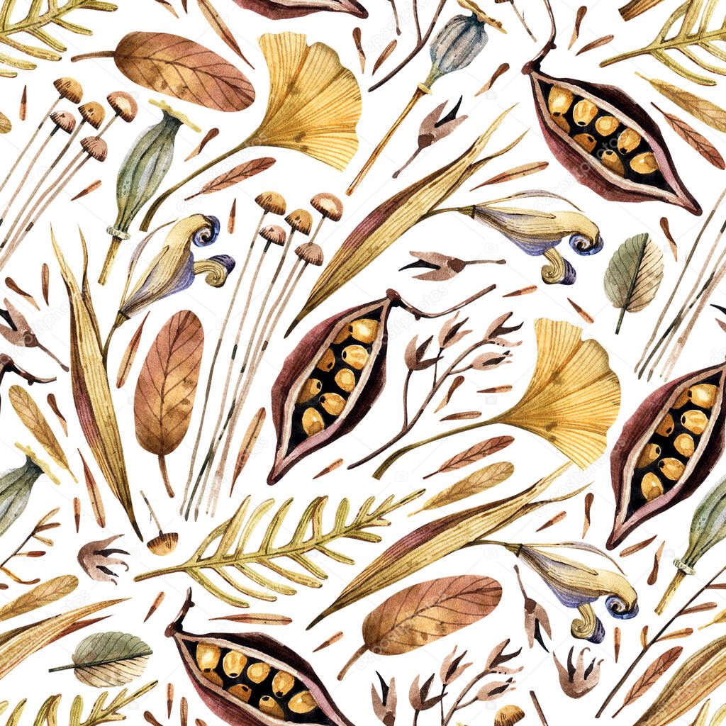 Dry flowers, autumn leaves, seeds, meadow herbs seamless watercolor pattern in vintage style. Herbarium, dry plants natural pattern on a white background.
