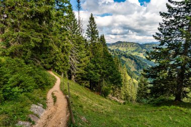 Allgau, Bavyera 'daki Oberstaufen yakınlarındaki Nagelfluhkette' de Hochgrat 'a güzel bir gün batımı yürüyüşü.
