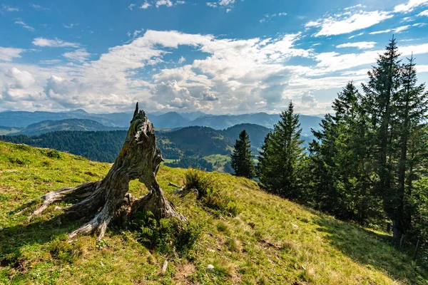 Gyönyörű Naplemente Túra Hochgrat Nagelfluhkette Közelében Oberstaufen Allgau Bajorország — Stock Fotó