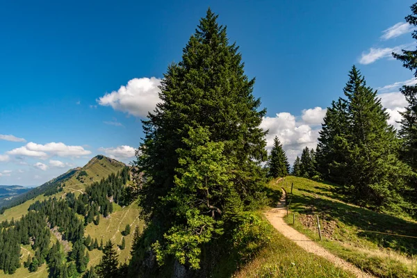 Mooie Zonsondergang Wandeling Naar Hochgrat Nagelfluhkette Bij Oberstaufen Allgau Beieren — Stockfoto