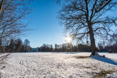 Kar kaplı Prens Hohenzollern Parkı Krauchenwies ve Ablacher Yukarı Bataklık Sigmaringen yakınlarında