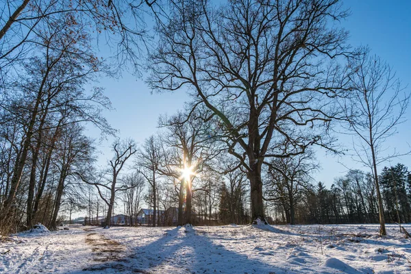 Met Sneeuw Bedekte Prinselijke Hohenzollern Park Krauchenwies Ablacher See Bij — Stockfoto