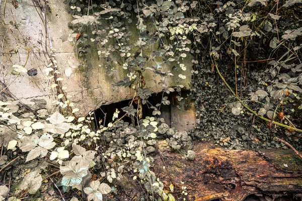 Sınırdaki Bazı Siegfried Hattı Sığınaklarının Eski Kalıntıları Yeraltı Kaleleri Uçaksavar — Stok fotoğraf