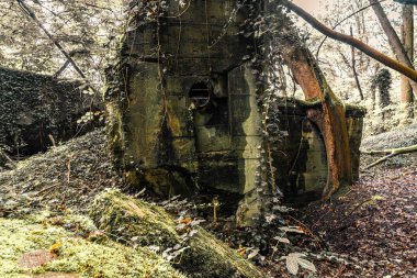 Sınırdaki bazı Siegfried Hattı sığınaklarının eski kalıntıları, yeraltı kaleleri, uçaksavar mevzileri ve hava saldırısı sığınakları.