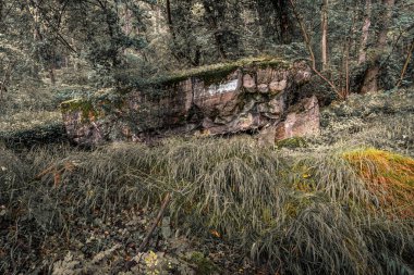 Sınırdaki bazı Siegfried Hattı sığınaklarının eski kalıntıları, yeraltı kaleleri, uçaksavar mevzileri ve hava saldırısı sığınakları.