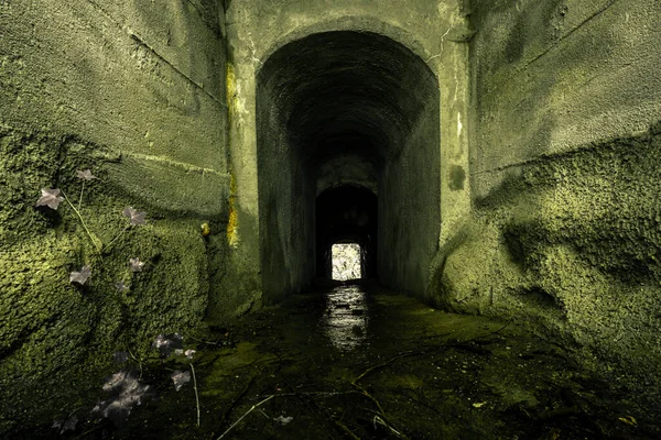 Vecchi Resti Fatti Saltare Alcuni Bunker Siegfried Line Lungo Confine — Foto Stock