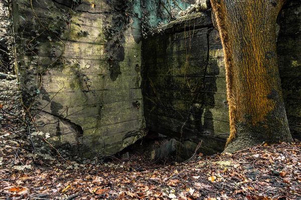 Stare Wysadzone Szczątki Bunkrów Siegfried Line Wzdłuż Granicy Podziemnych Fortów — Zdjęcie stockowe