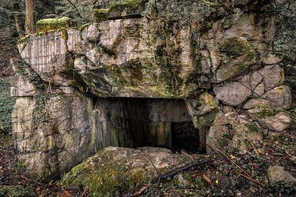 Sınırdaki Bazı Siegfried Hattı Sığınaklarının Eski Kalıntıları Yeraltı Kaleleri Uçaksavar — Stok fotoğraf