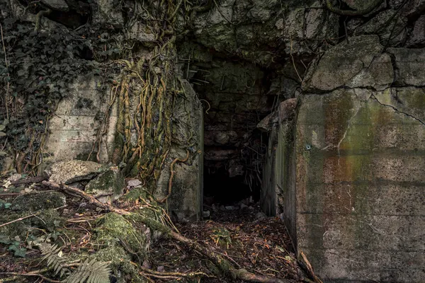 Stare Wysadzone Szczątki Bunkrów Siegfried Line Wzdłuż Granicy Podziemnych Fortów — Zdjęcie stockowe