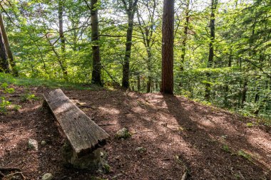 Yukarı Tuna Doğa Parkı 'nda Beuron yakınlarında muhteşem bir sonbahar yürüyüşü. Manzarası ve panoraması var.
