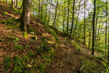 Yukarı Tuna Doğa Parkı 'nda Beuron yakınlarında muhteşem bir sonbahar yürüyüşü. Manzarası ve panoraması var.