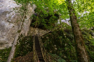 Yukarı Tuna Doğa Parkı 'nda Beuron yakınlarında muhteşem bir sonbahar yürüyüşü. Manzarası ve panoraması var.