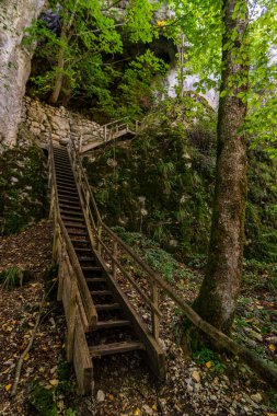 Yukarı Tuna Doğa Parkı 'nda Beuron yakınlarında muhteşem bir sonbahar yürüyüşü. Manzarası ve panoraması var.