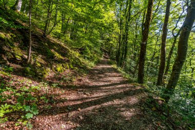 Yukarı Tuna Doğa Parkı 'nda Beuron yakınlarında muhteşem bir sonbahar yürüyüşü. Manzarası ve panoraması var.