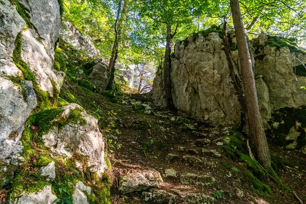 Υπέροχη Φθινοπωρινή Πεζοπορία Κοντά Beuron Στο Άνω Δούναβη Nature Park — Φωτογραφία Αρχείου
