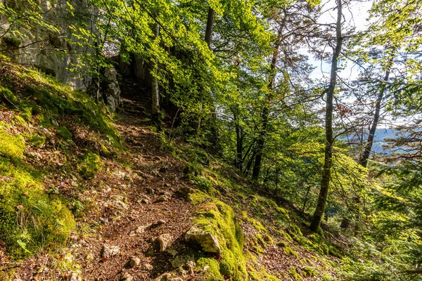 Υπέροχη Φθινοπωρινή Πεζοπορία Κοντά Beuron Στο Άνω Δούναβη Nature Park — Φωτογραφία Αρχείου